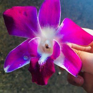 Meet your Posher, Louena